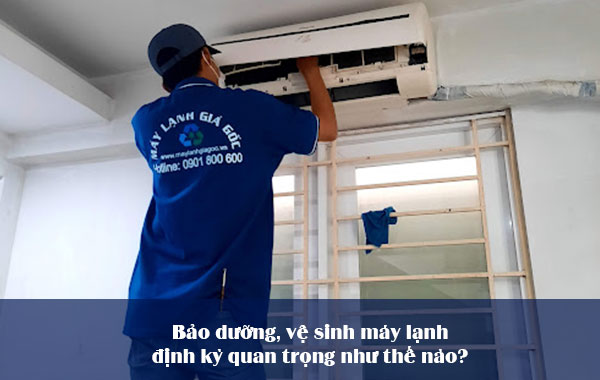 Bảo dưỡng, vệ sinh máy lạnh định kỳ quan trọng như thế nào?